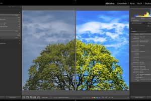 Online-Workshop Adobe Lightroom Classic