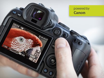 Online – Workshop Canon EOS R-System