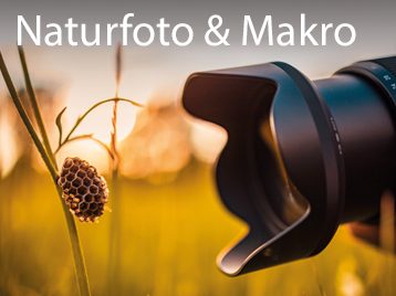 Naturfoto